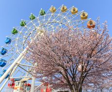 八戸でおすすめ観光地選 青森 名所スポットを徹底紹介 おすすめ旅行を探すならトラベルブック Travelbook 八戸でおすすめ観光地選 青森 名所スポットを徹底紹介 おすすめ旅行を探すならトラベルブック Travelbook
