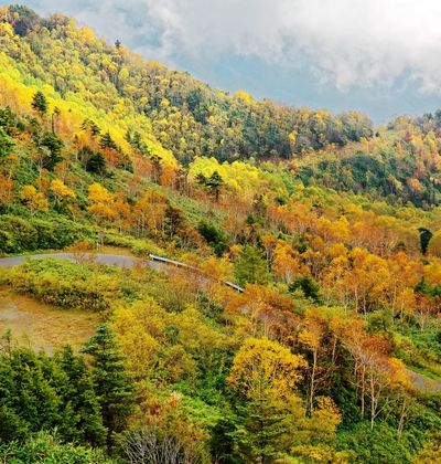 長野 志賀高原のおすすめ高級ホテル 口コミ評判の高い宿をご紹介 おすすめ旅行を探すならトラベルブック Travelbook 長野 志賀高原のおすすめ高級ホテル 口コミ評判の高い宿をご紹介 おすすめ旅行を探すならトラベルブック Travelbook