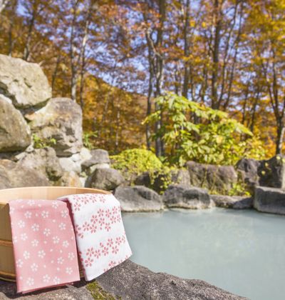 日光のおすすめ子連れ旅館選 口コミ評判の高い宿をご紹介 子育て情報を探すならトラベルブックファミリー 日光のおすすめ子連れ旅館選 口コミ評判の高い宿をご紹介 子育て情報を探すならトラベルブックファミリー