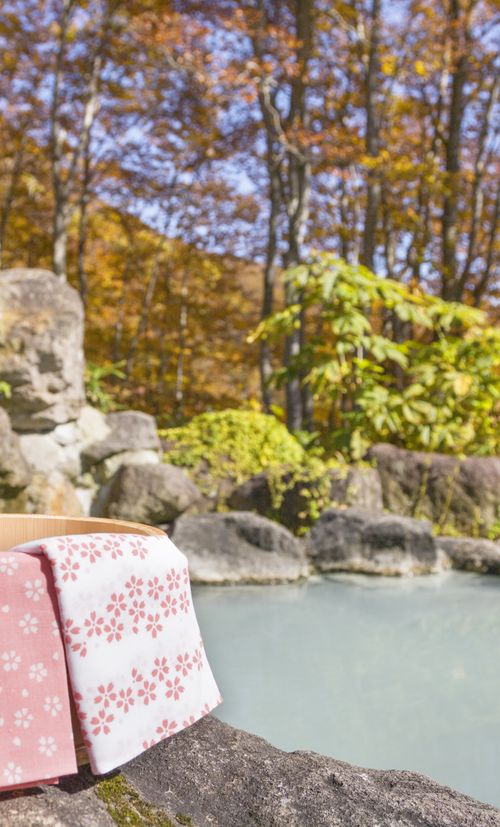 日光のおすすめ子連れ旅館選 口コミ評判の高い宿をご紹介 子育て情報を探すならトラベルブックファミリー 日光のおすすめ子連れ旅館選 口コミ評判の高い宿をご紹介 子育て情報を探すならトラベルブックファミリー