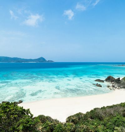 奄美大島でおすすめの観光スポット12選 南国の豊かな自然と文化を味わおう おすすめ旅行を探すならトラベルブック Travelbook 奄美大島でおすすめの観光スポット12選 南国の豊かな自然と文化を味わおう おすすめ旅行を探すならトラベルブック Travelbook