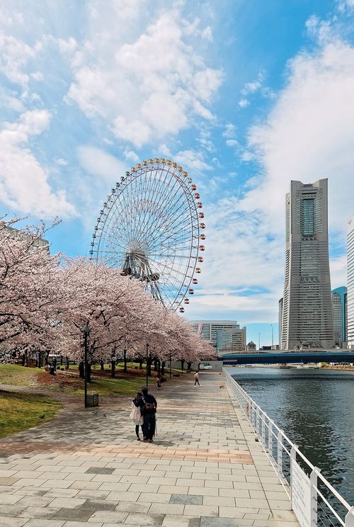 横浜のおすすめ旅館10選 安いのにカップル人気の高い宿もご紹介 おすすめ旅行を探すならトラベルブック Travelbook
