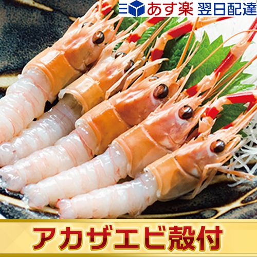 アカザエビの特徴とは 通販で人気のおすすめアカザエビtop5 トラブルブック