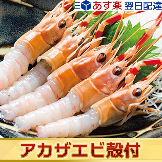 アカザエビの特徴とは 通販で人気のおすすめアカザエビtop5 自分らしい便利な暮らしを トラベルブック Travelbook アカザエビの特徴とは 通販で人気のおすすめアカザエビtop5 自分らしい便利な暮らしを トラベルブック Travelbook