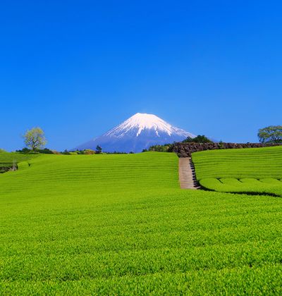 静岡市のおすすめ子連れホテル 口コミ評判の高い宿をご紹介 子育て情報を探すならトラベルブックファミリー 静岡市のおすすめ子連れホテル 口コミ評判の高い宿をご紹介 子育て情報を探すならトラベルブックファミリー