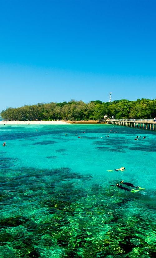 ケアンズのおすすめホテル選 安いのに子連れにも人気の宿もご紹介 おすすめ旅行を探すならトラベルブック Travelbook ケアンズのおすすめホテル選 安いのに子連れにも人気の宿もご紹介 おすすめ旅行を探すならトラベルブック Travelbook