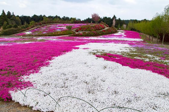 長崎 大村周辺のラグジュアリーに滞在できる高級ホテル3選 記念日利用にもおすすめ おすすめ旅行を探すならトラベルブック Travelbook