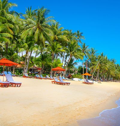 サムイ島のオプショナルツアー タイ 現地ツアーを徹底比較 おすすめ旅行を探すならトラベルブック Travelbook サムイ島のオプショナルツアー タイ 現地ツアーを徹底比較 おすすめ旅行を探すならトラベルブック Travelbook