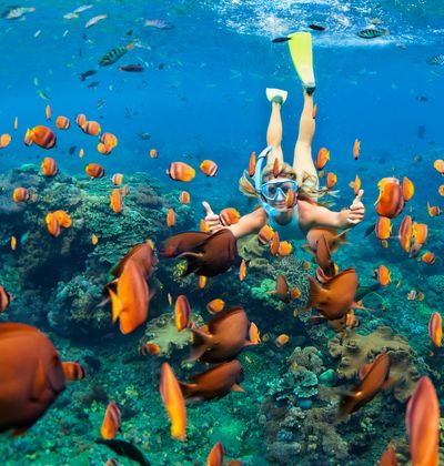 ハワイのおすすめ子連れホテルランキング プール付きの人気宿もご紹介 子育て情報を探すならトラベルブックファミリー ハワイのおすすめ子連れホテルランキング プール付きの人気宿もご紹介 子育て情報を探すならトラベルブックファミリー