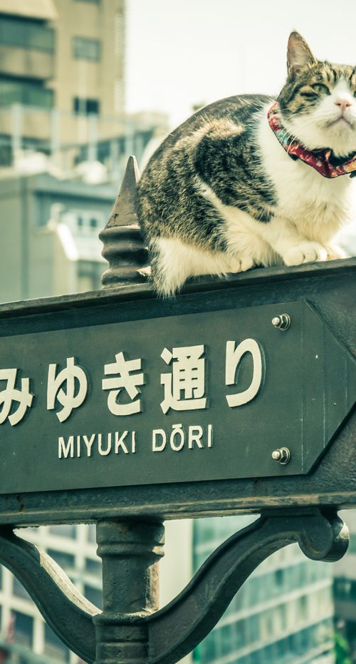 銀座駅周辺のおすすめゲストハウス10選 格安価格でシンプルに滞在 おすすめ旅行を探すならトラベルブック Travelbook