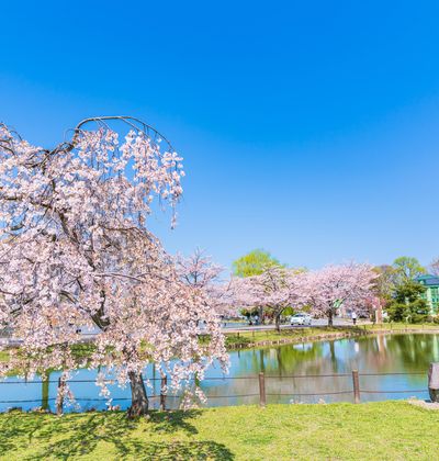 埼玉 行田の旅館 おすすめの人気温泉宿を紹介 おすすめ旅行を探すならトラベルブック Travelbook 埼玉 行田の旅館 おすすめの人気温泉宿を紹介 おすすめ旅行を探すならトラベルブック Travelbook