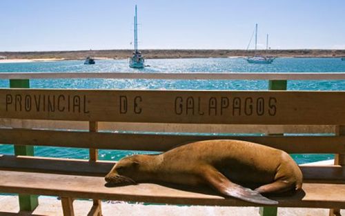 2ページ目 セレブリティクルーズで船の旅を身近なものに おすすめツアーや客船の種類をご紹介 おすすめ旅行を探すならトラベルブック Travelbook