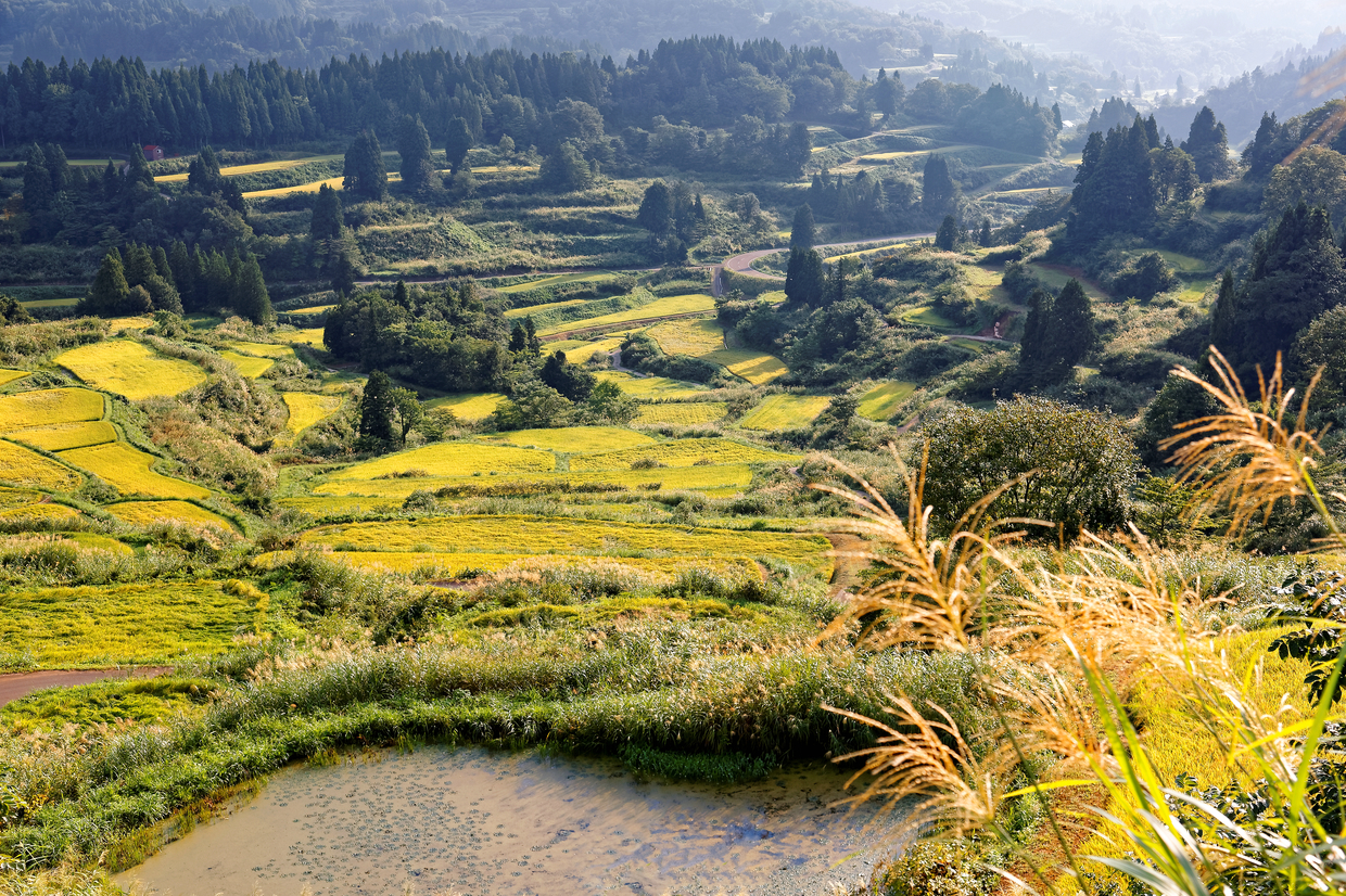 新潟 十日町の高級ホテル おすすめの人気宿泊施設を紹介 おすすめ旅行を探すならトラベルブック Travelbook