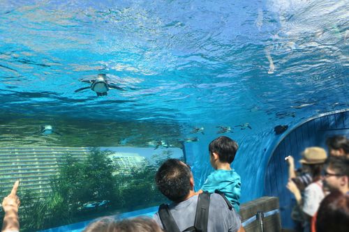 池袋と言えば 定番 サンシャインシティ周辺のレジャースポットをご紹介 おすすめ旅行を探すならトラベルブック Travelbook