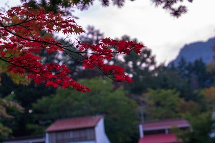 群馬 北軽井沢でおすすめのペンション１０選 自然に囲まれながらのんびり滞在 おすすめ旅行を探すならトラベルブック Travelbook