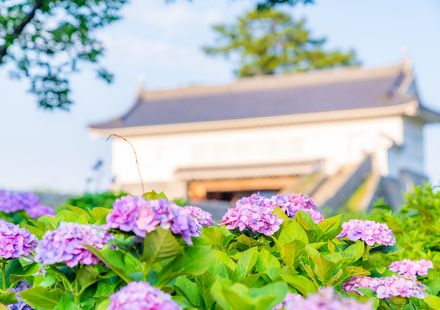 神奈川 小田原周辺のおすすめ格安ホテル6選 お一人様でも大歓迎の人気宿もご紹介 おすすめ旅行を探すならトラベルブック Travelbook 神奈川 小田原周辺のおすすめ格安ホテル6選 お一人様でも大歓迎の人気宿もご紹介 おすすめ旅行を探すならトラベルブック Travelbook