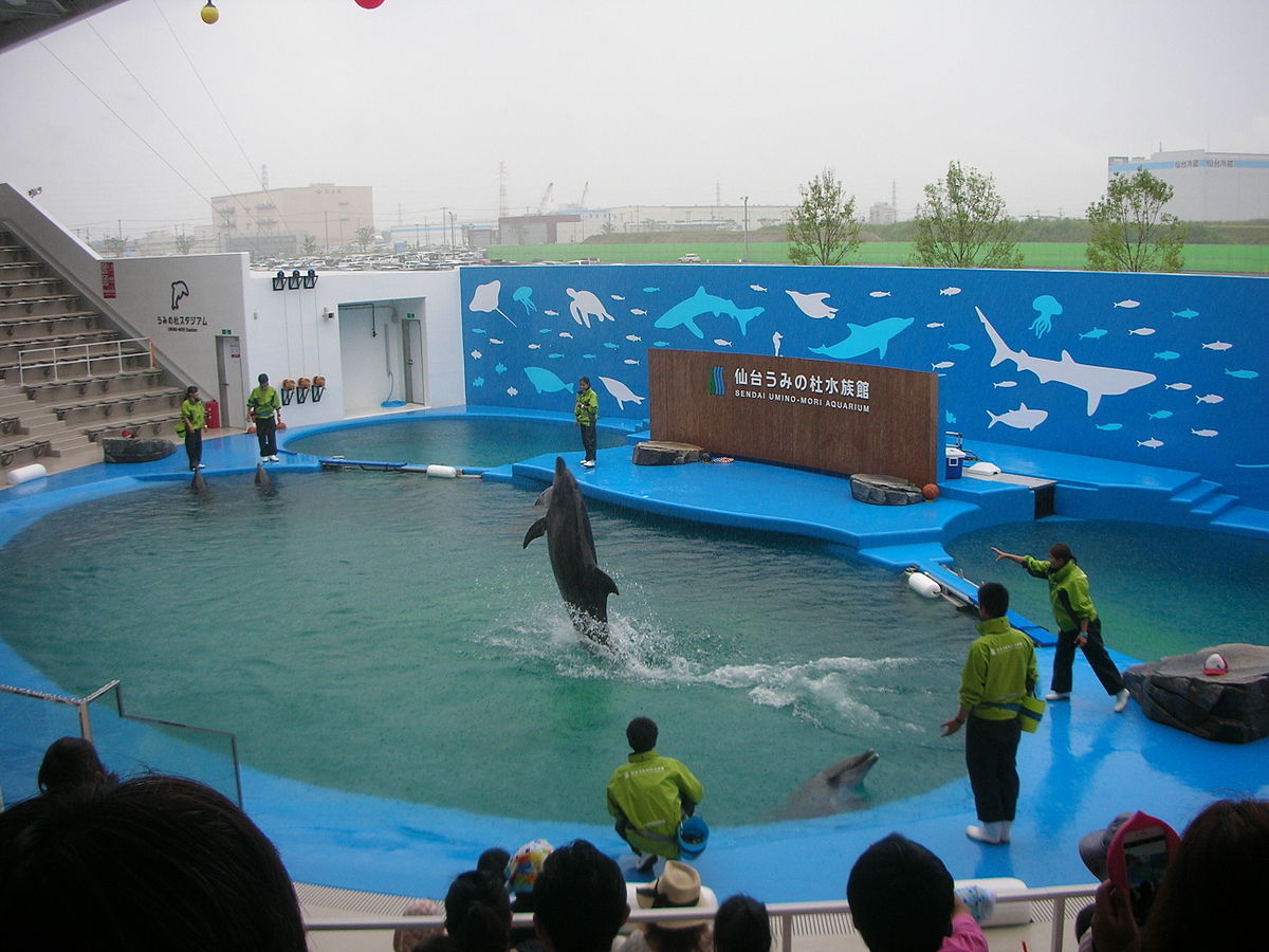 宮城 家族でも友達同士でも楽しめちゃう 仙台うみの杜水族館 ってどんなところ おすすめ旅行を探すならトラベルブック Travelbook
