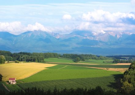 富良野 美瑛の広大な大自然を満喫のおすすめ観光スポット5選 おすすめ旅行を探すならトラベルブック Travelbook 富良野 美瑛の広大な大自然を満喫のおすすめ観光スポット5選 おすすめ旅行を探すならトラベルブック Travelbook