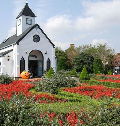 千葉 房総フラワーライン のドライブで立ち寄りたいお花畑スポット6選 おすすめ旅行を探すならトラベルブック Travelbook 千葉 房総フラワーライン のドライブで立ち寄りたいお花畑スポット6選 おすすめ旅行を探すならトラベルブック Travelbook