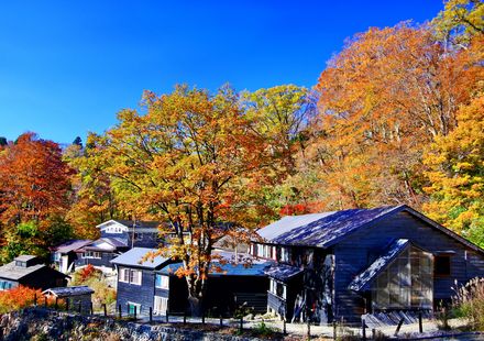 鳥取市のおすすめ旅館 人気の温泉宿や高級旅館をご紹介 おすすめ旅行を探すならトラベルブック Travelbook 鳥取市のおすすめ旅館 人気の温泉宿や高級旅館をご紹介 おすすめ旅行を探すならトラベルブック Travelbook
