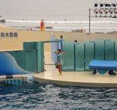 神奈川 デートにも最適なロケーション抜群の新江ノ島水族館まとめ おすすめ旅行を探すならトラベルブック Travelbook 神奈川 デートにも最適なロケーション抜群の新江ノ島水族館まとめ おすすめ旅行を探すならトラベルブック Travelbook