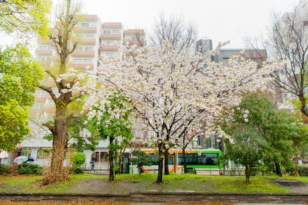 アメニティ充実 上野駅周辺で女性に人気のカプセルホテル１０選 おすすめ旅行を探すならトラベルブック Travelbook