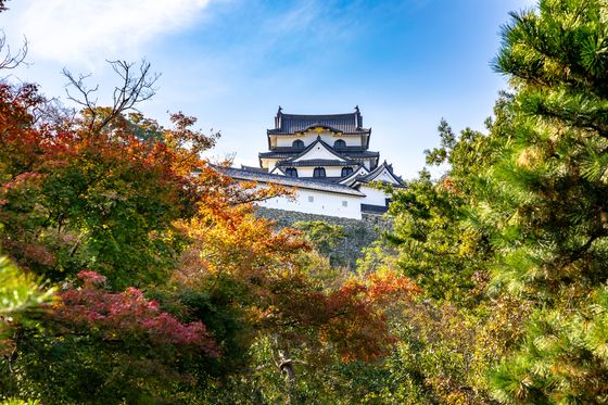 滋賀で人気のおすすめカプセルホテル 駅近で観光に便利 おすすめ旅行を探すならトラベルブック Travelbook