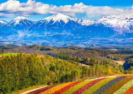 北海道の大自然の中で車を走らせよう ドライブで巡る人気の観光スポット13選 おすすめ旅行を探すならトラベルブック Travelbook 北海道の大自然の中で車を走らせよう ドライブで巡る人気の観光スポット13選 おすすめ旅行を探すならトラベルブック Travelbook