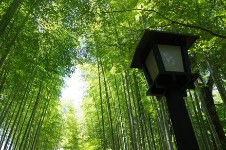 静岡 伊豆で宿泊したい人気のおすすめカプセルホテル おすすめ旅行を探すならトラベルブック Travelbook