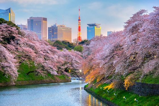 東京 癒される公園12選 自然に触れてリフレッシュ おすすめ旅行を探すならトラベルブック Travelbook