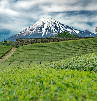 方言 静岡弁の面白いもの 可愛いものをまとめてご紹介 おすすめ旅行を探すならトラベルブック Travelbook 方言 静岡弁の面白いもの 可愛いものをまとめてご紹介 おすすめ旅行を探すならトラベルブック Travelbook