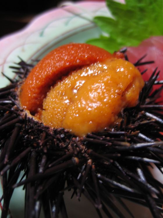 東京 カキ小屋にも負けない 本物の味が堪能できる ウニ小屋 に行こう おすすめ旅行を探すならトラベルブック Travelbook