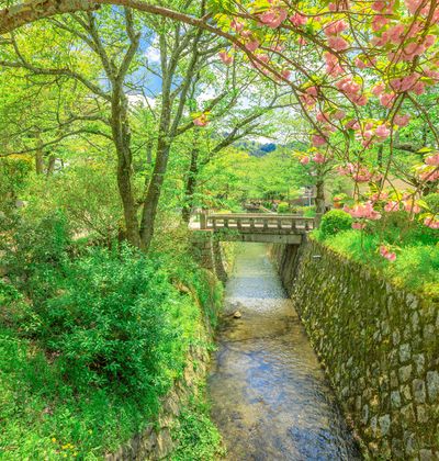 京都 おすすめの穴場観光スポット13選 四季折々の風景や歴史をゆっくり楽しもう おすすめ旅行を探すならトラベルブック Travelbook 京都 おすすめの穴場観光スポット13選 四季折々の風景や歴史をゆっくり楽しもう おすすめ旅行を探すならトラベルブック Travelbook