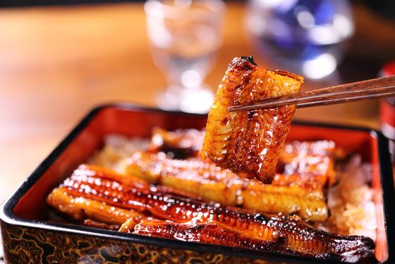 静岡市 おすすめランチスポット13選 うなぎ おでん 駿河湾の海鮮など美味しいものが充実 おすすめ旅行を探すならトラベルブック Travelbook