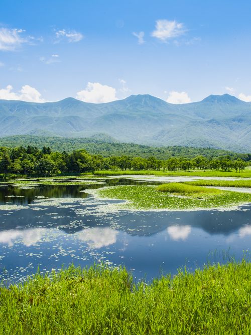 北海道 絶景に大自然 知床を堪能できるおすすめ観光スポット13選 おすすめ旅行を探すならトラベルブック Travelbook 北海道 絶景に大自然 知床を堪能できるおすすめ観光スポット13選 おすすめ旅行を探すならトラベルブック Travelbook