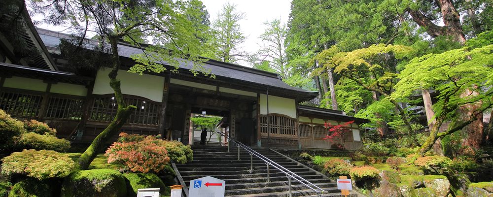 福井のホテル 一度は泊まりたい人気宿の宿泊予約 福井のホテル 一度は泊まりたい人気宿の宿泊予約