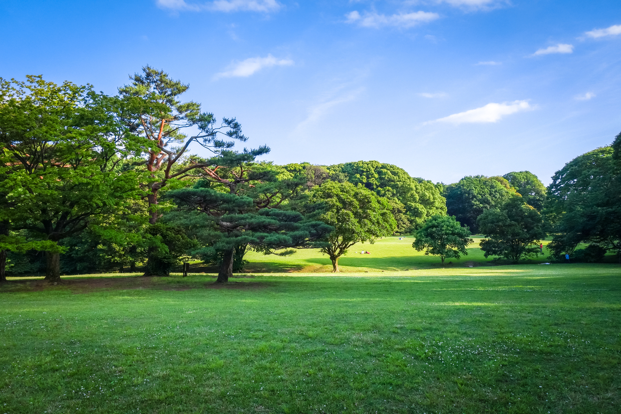 東京 お花見やジョギングにおすすめの公園13選 疲れた体が癒やされる おすすめ旅行を探すならトラベルブック Travelbook