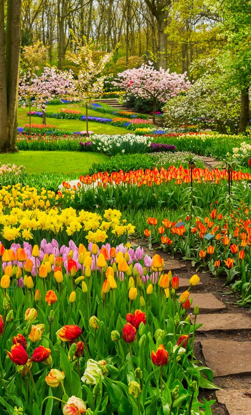 奈良 花の御寺と呼ばれる長谷寺 四季折々の花と自然の移ろいを見に行こう おすすめ旅行を探すならトラベルブック Travelbook 奈良 花の御寺と呼ばれる長谷寺 四季折々の花と自然の移ろいを見に行こう おすすめ旅行を探すならトラベルブック Travelbook
