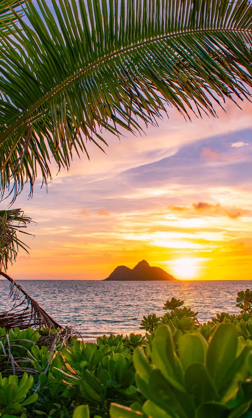 ハワイ オアフ島へ行くおすすめ格安ツアー 人気プランを比較して紹介 おすすめ旅行を探すならトラベルブック Travelbook