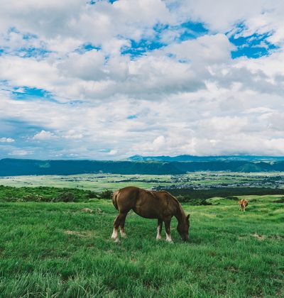 熊本 阿蘇の人気ホテルランキング10選 評判のおすすめの宿をご紹介 おすすめ旅行を探すならトラベルブック Travelbook 熊本 阿蘇の人気ホテルランキング10選 評判のおすすめの宿をご紹介 おすすめ旅行を探すならトラベルブック Travelbook