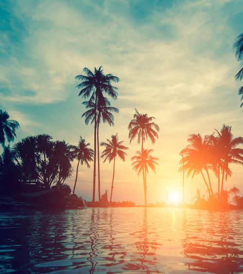 ハワイ島 ヒロでおすすめ観光スポット15選 非日常な気分を味わうならココ おすすめ旅行を探すならトラベルブック Travelbook