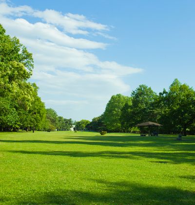 沖縄 伊良部島で一番大きい 平成の森公園 を紹介 観光客にはあまり知られてない穴場 おすすめ旅行を探すならトラベルブック Travelbook 沖縄 伊良部島で一番大きい 平成の森公園 を紹介 観光客にはあまり知られてない穴場 おすすめ旅行を探すならトラベルブック Travelbook