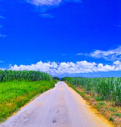 2ページ目 沖縄 シュガーロードの魅力とは 朝ドラのロケ地にもなった観光名所を紹介 おすすめ旅行を探すならトラベルブック Travelbook 2ページ目 沖縄 シュガーロードの魅力とは 朝ドラのロケ地にもなった観光名所を紹介 おすすめ旅行を探すならトラベルブック Travelbook