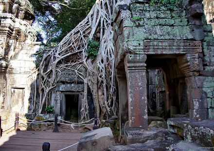 シェムリアップ 観光 グルメ ショッピングを楽しめるモデルコース4選 おすすめ旅行を探すならトラベルブック Travelbook シェムリアップ 観光 グルメ ショッピングを楽しめるモデルコース4選 おすすめ旅行を探すならトラベルブック Travelbook