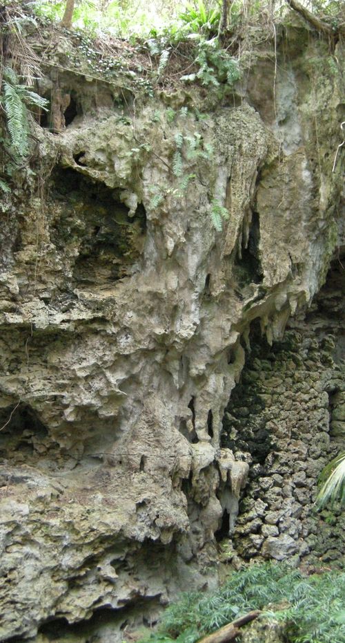 沖縄 仲泊遺跡から先史時代のロマンを感じよう 周辺スポットもご紹介 おすすめ旅行を探すならトラベルブック Travelbook