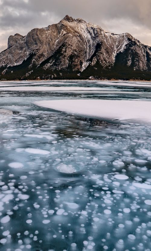 カナダ アイスバブル は氷が生む不思議な現象 アブラハム湖で撮影しよう おすすめ旅行を探すならトラベルブック Travelbook