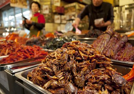 Oprl Djjseelm Oprl Djjseelm