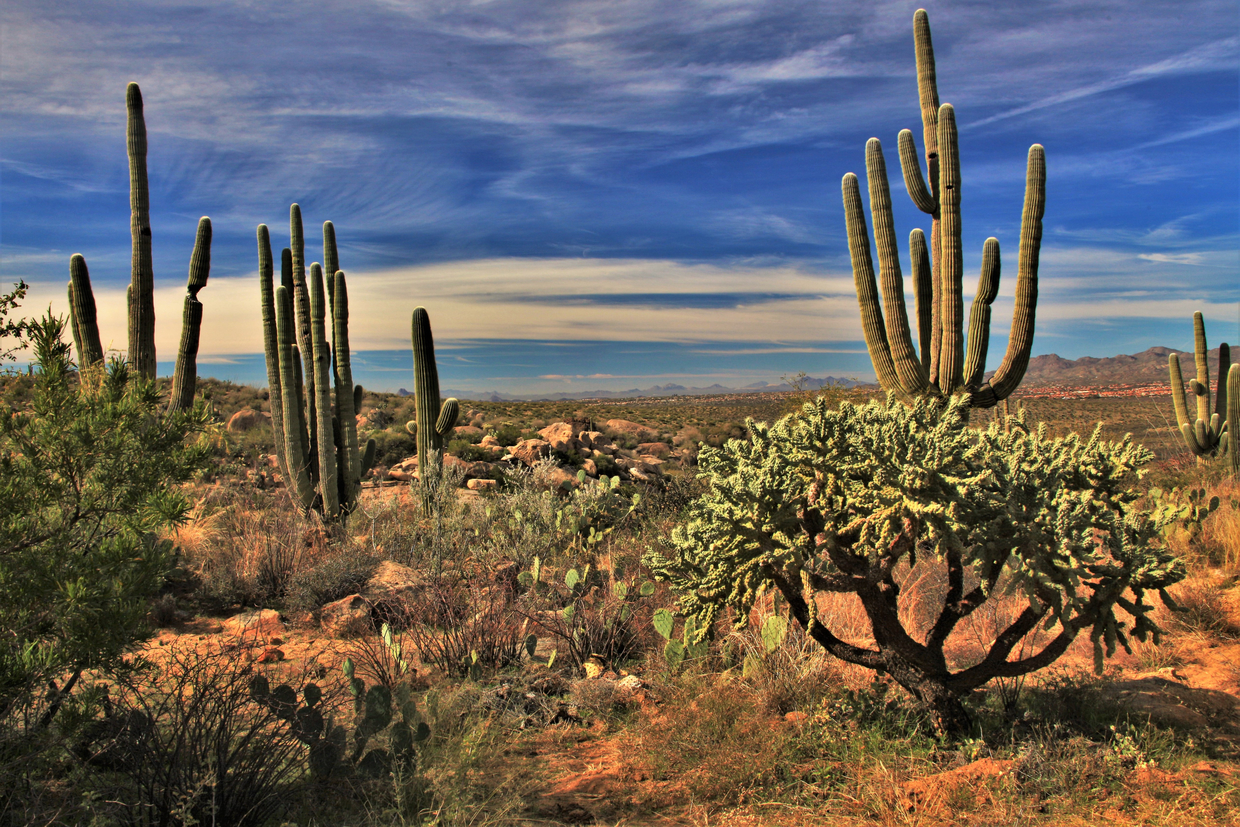 アメリカ ツーソンにあるおすすめ観光スポット10選 情報はこちらから おすすめ旅行を探すならトラベルブック Travelbook