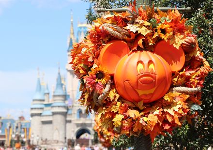 ディズニー周辺のおすすめ子連れホテル10選 安いのに快適な宿もご紹介 子育て情報を探すならトラベルブックファミリー ディズニー周辺のおすすめ子連れホテル10選 安いのに快適な宿もご紹介 子育て情報を探すならトラベルブックファミリー