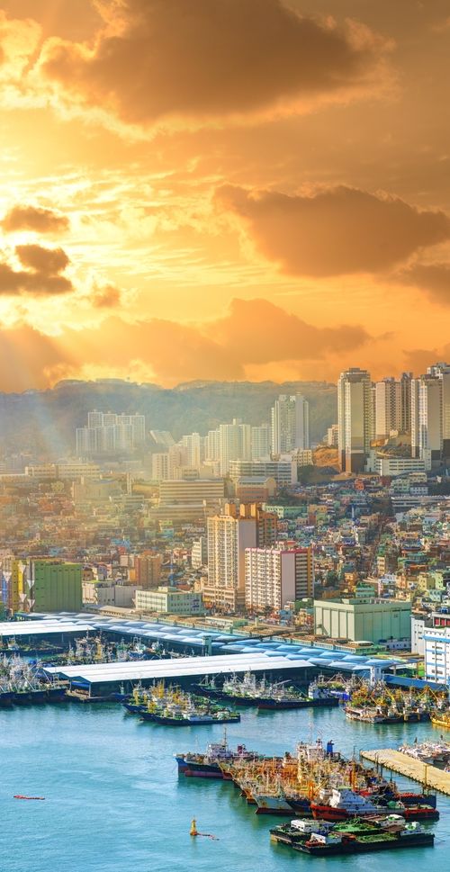 韓国 釜山 プサン のおすすめホテル選 口コミ評判の高い宿をご紹介 おすすめ旅行を探すならトラベルブック Travelbook 韓国 釜山 プサン のおすすめホテル選 口コミ評判の高い宿をご紹介 おすすめ旅行を探すならトラベルブック Travelbook